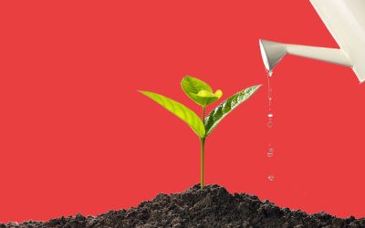 6 Traits of Good Relationship Development