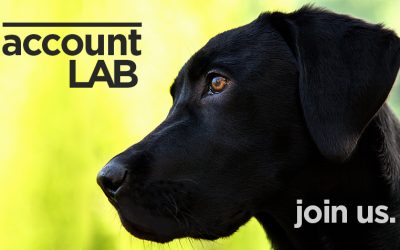 Introducing Account LAB: How Our Strategy Team Can Benefit You