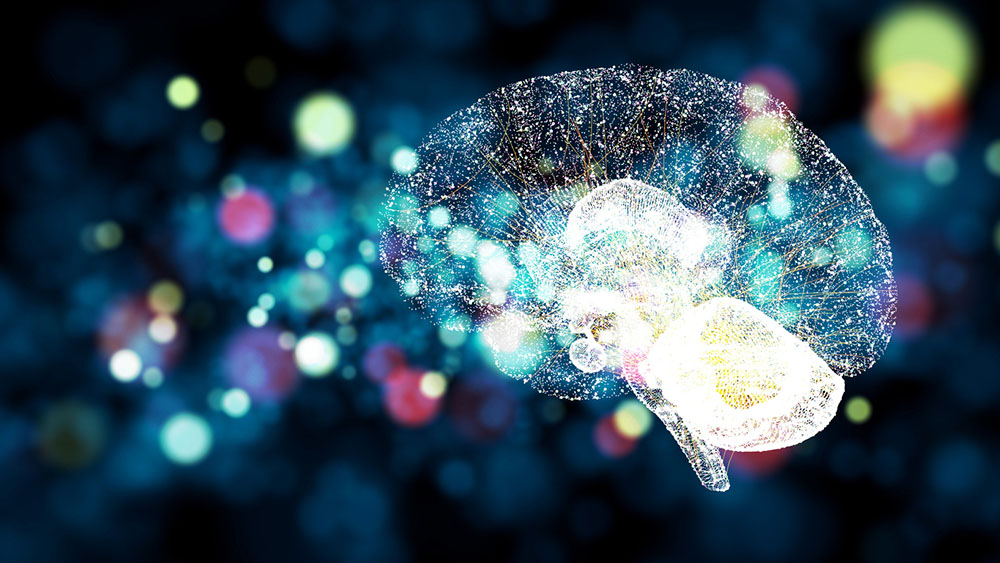 an image of a brain and neuroscience